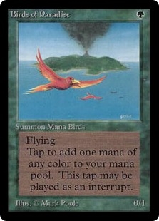Birds of Paradise Keeper Custom Cards